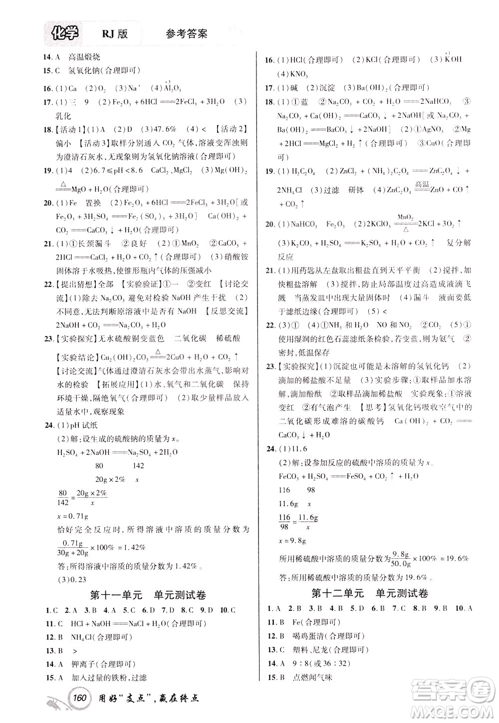 2020年支點(diǎn)化學(xué)九年級(jí)下冊(cè)RJ版人教版江西專版參考答案