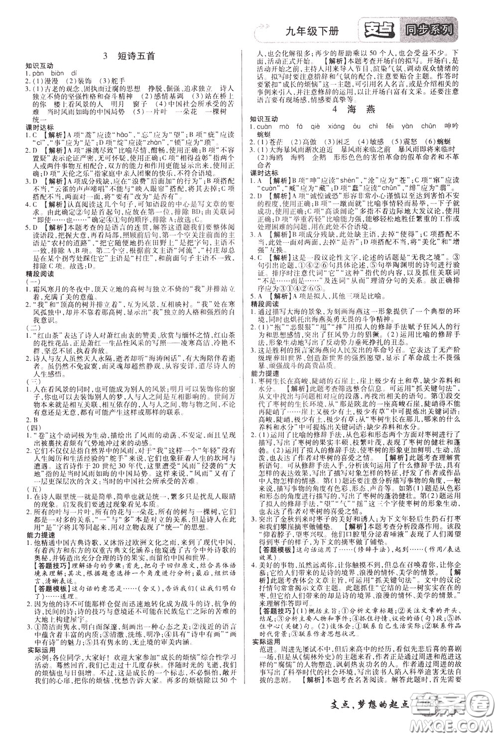 2020年支點(diǎn)語(yǔ)文九年級(jí)下冊(cè)RJ版人教版江西專(zhuān)版參考答案