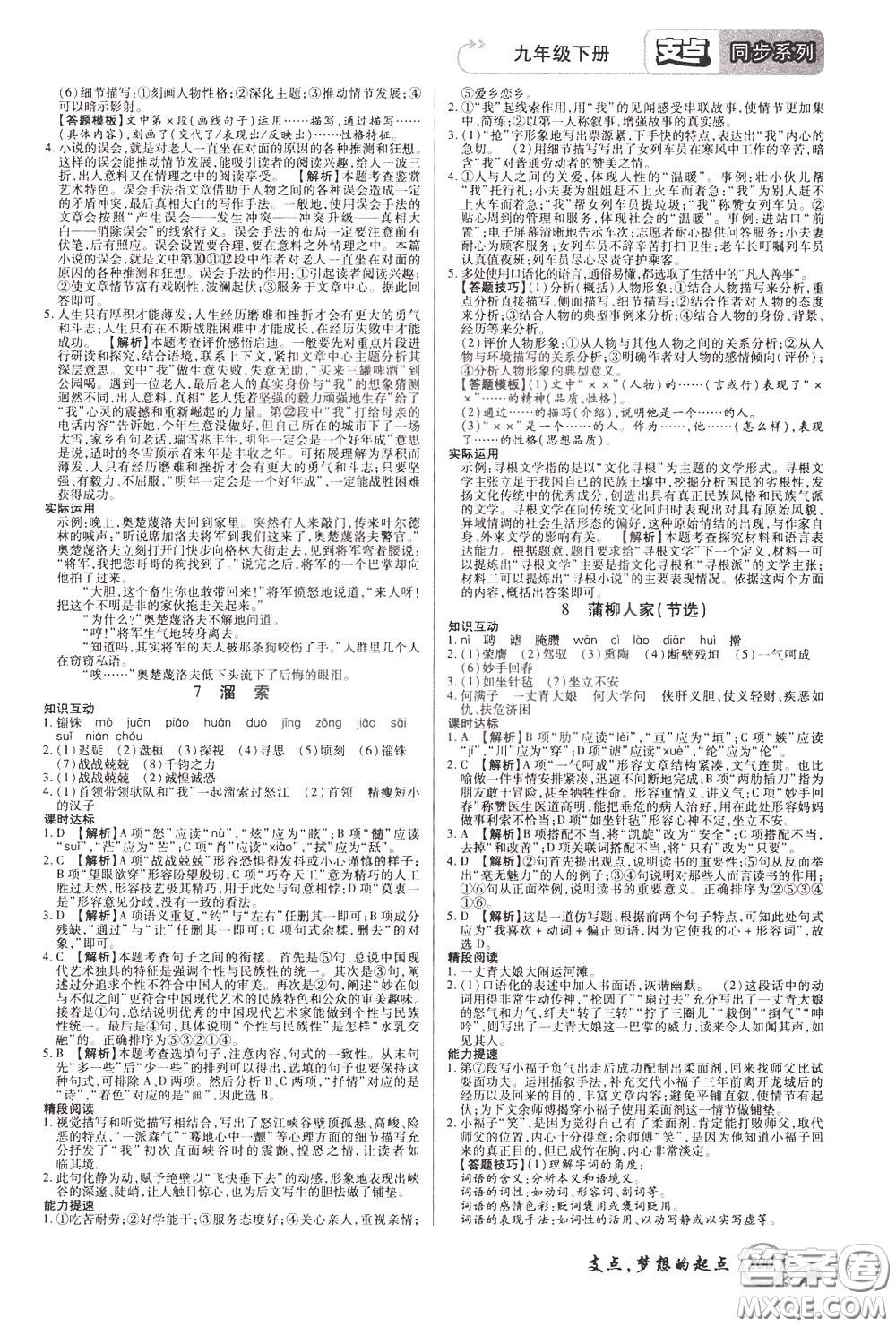 2020年支點(diǎn)語(yǔ)文九年級(jí)下冊(cè)RJ版人教版江西專(zhuān)版參考答案