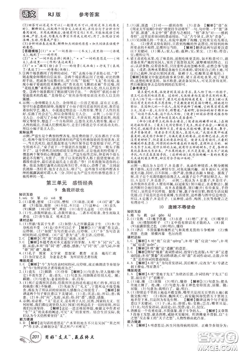 2020年支點(diǎn)語(yǔ)文九年級(jí)下冊(cè)RJ版人教版江西專(zhuān)版參考答案