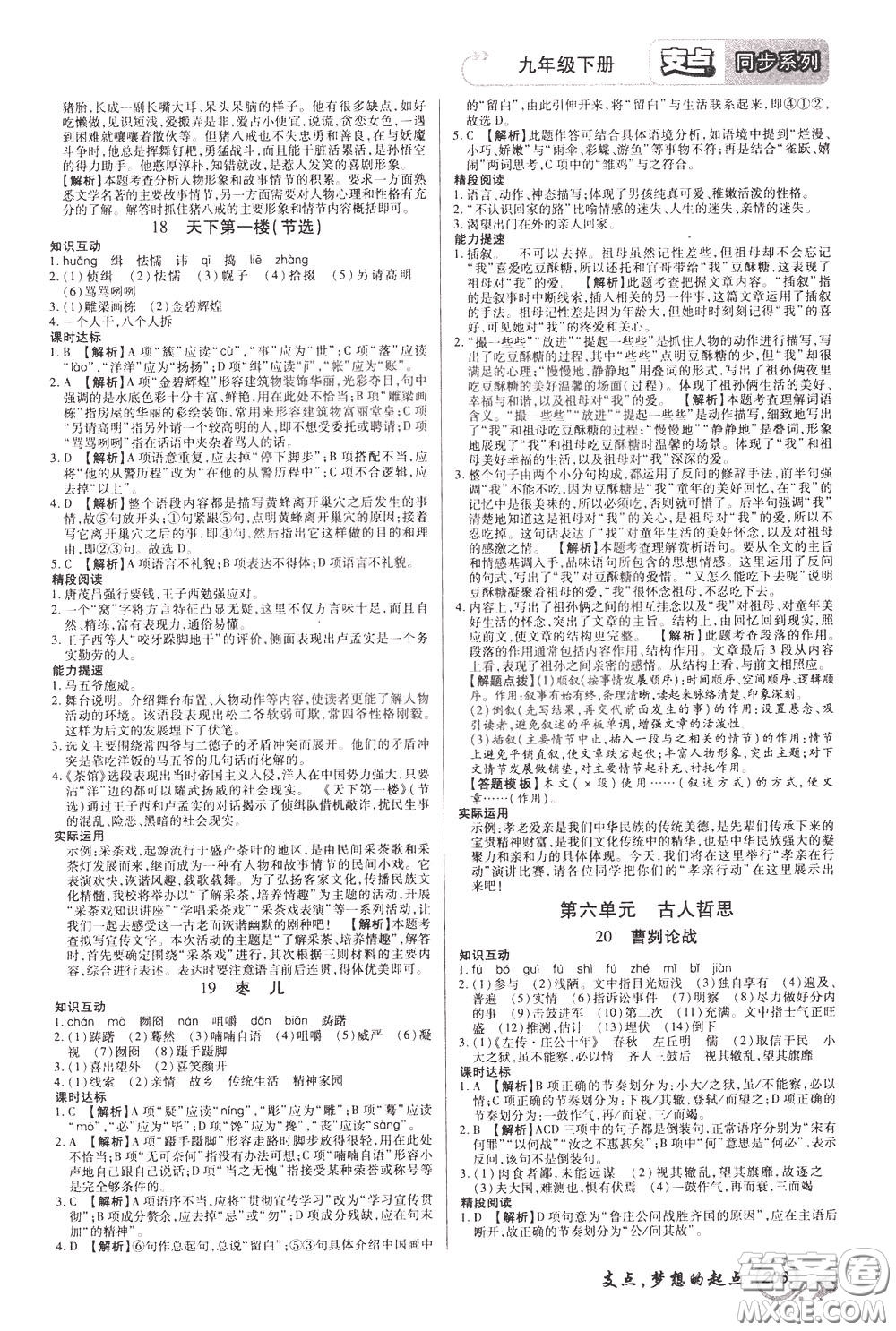 2020年支點(diǎn)語(yǔ)文九年級(jí)下冊(cè)RJ版人教版江西專(zhuān)版參考答案
