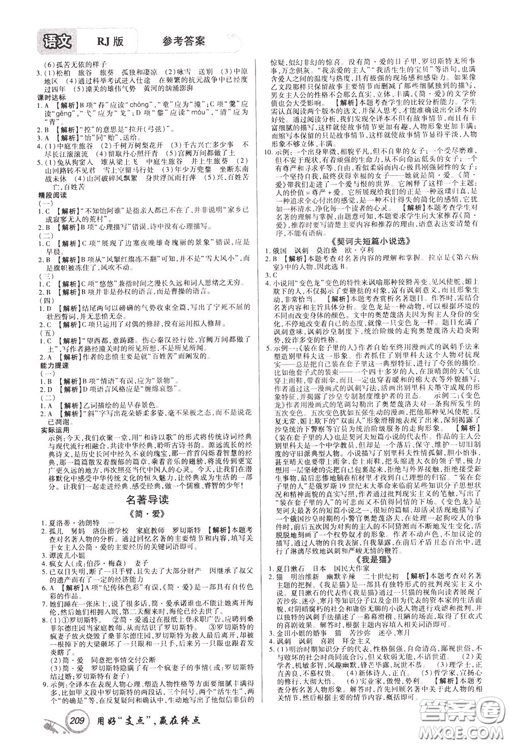 2020年支點(diǎn)語(yǔ)文九年級(jí)下冊(cè)RJ版人教版江西專(zhuān)版參考答案