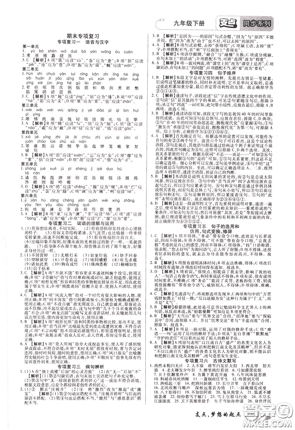 2020年支點(diǎn)語(yǔ)文九年級(jí)下冊(cè)RJ版人教版江西專(zhuān)版參考答案