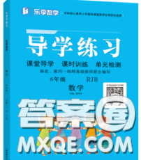 延邊教育出版社2020年新版導(dǎo)學(xué)練習(xí)樂享數(shù)學(xué)六年級下冊人教版答案