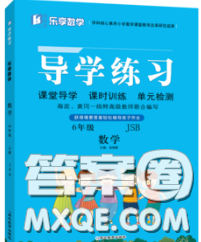 延邊教育出版社2020年新版導(dǎo)學(xué)練習(xí)樂享數(shù)學(xué)六年級(jí)下冊(cè)江蘇版答案