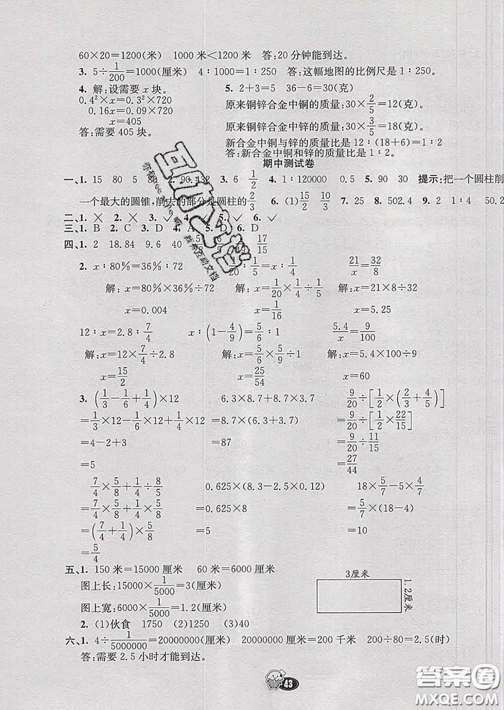 河北教育出版社2020新版七彩練霸六年級(jí)數(shù)學(xué)下冊(cè)蘇教版答案