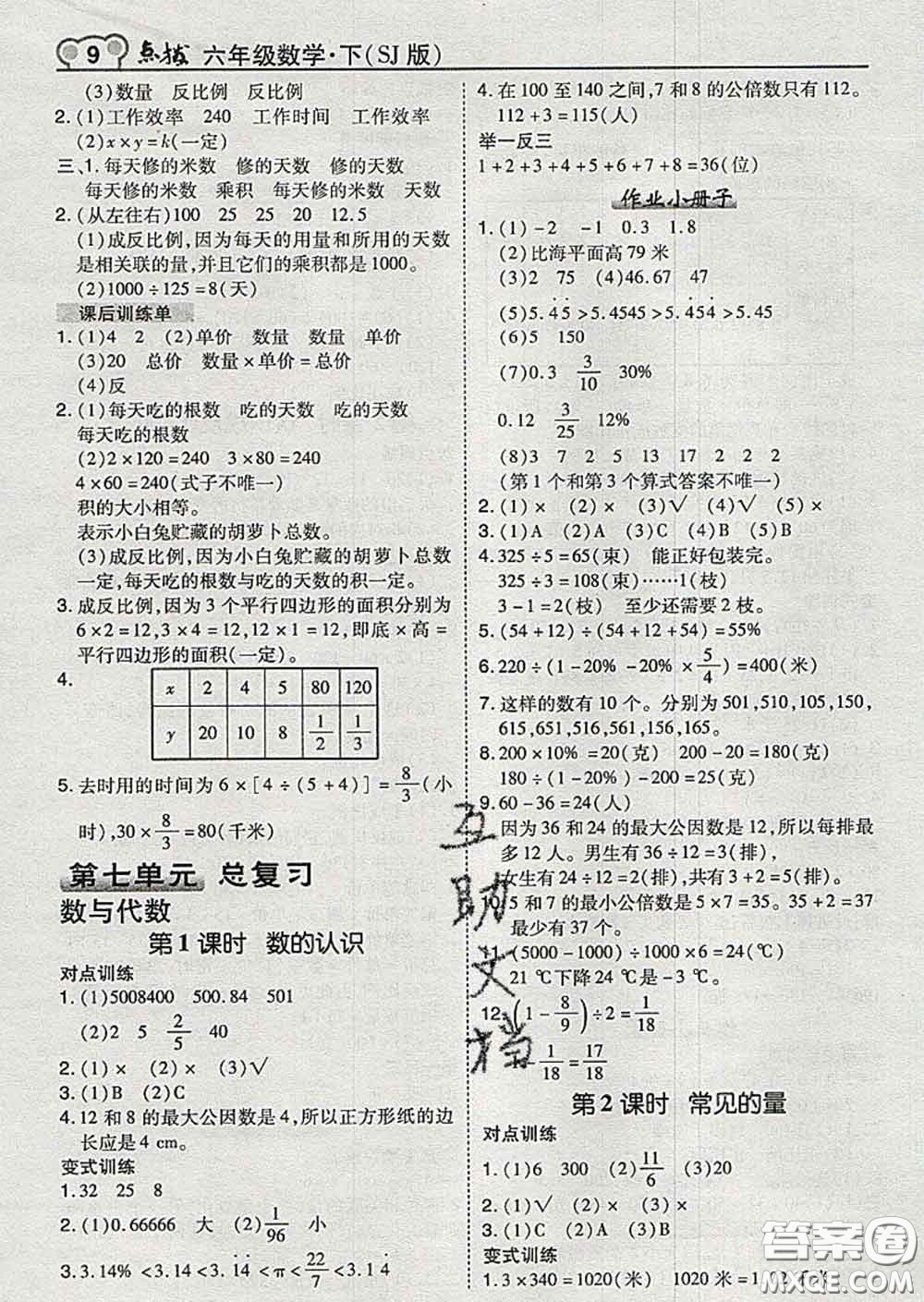 2020春特高級(jí)教師點(diǎn)撥六年級(jí)數(shù)學(xué)下冊(cè)蘇教版答案