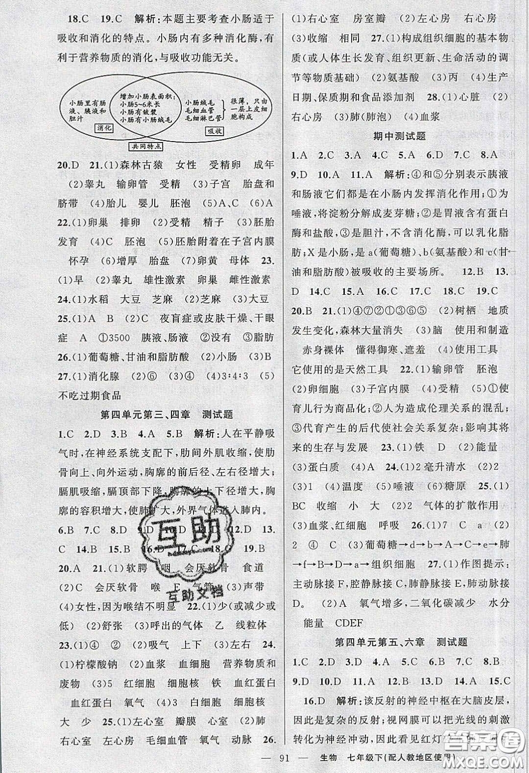 2020春原創(chuàng)新課堂七年級(jí)生物下冊(cè)人教版答案