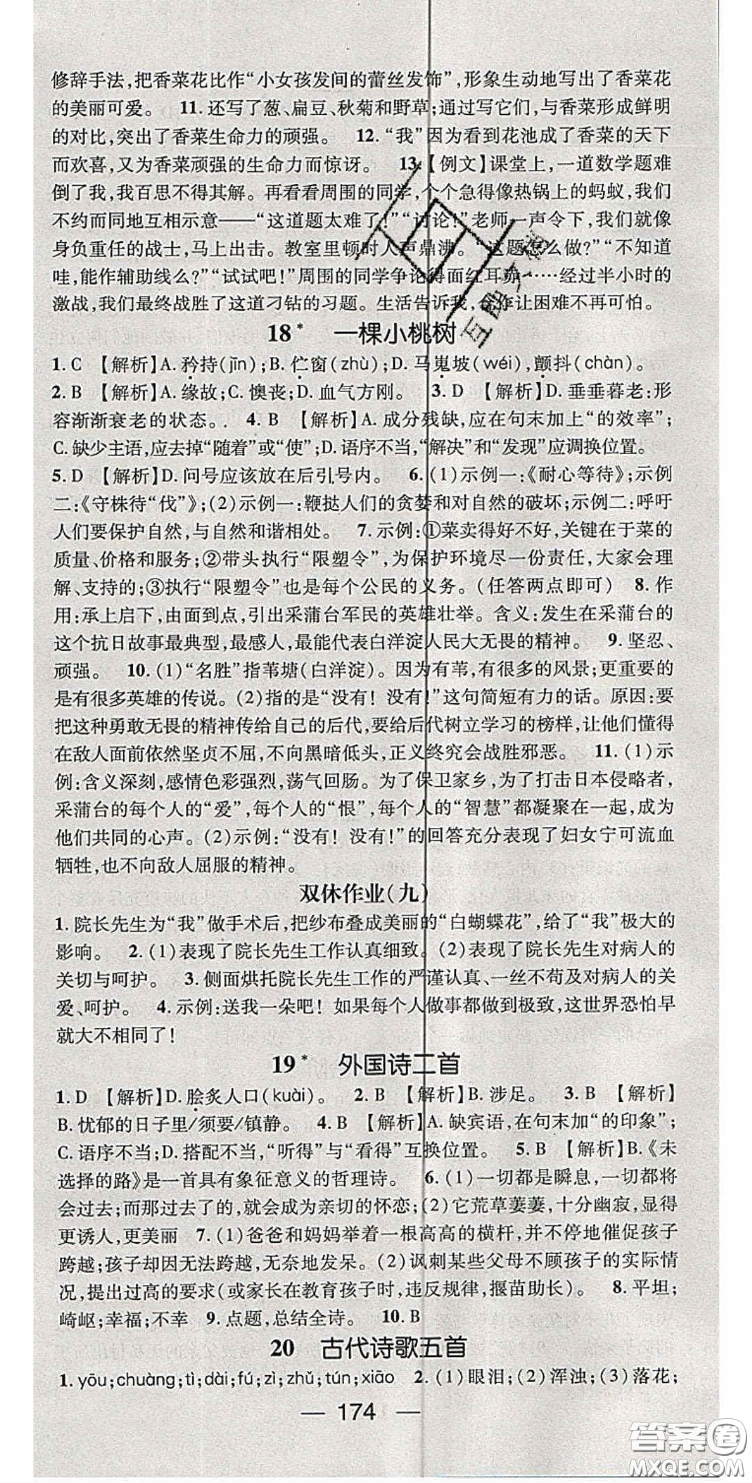 陽光出版社2020精英新課堂七年級語文下冊人教版答案