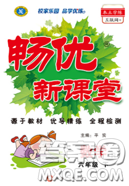 新疆文化出版社2020春暢優(yōu)新課堂六年級數(shù)學下冊人教版答案