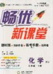 寧夏人民教育出版社2020暢優(yōu)新課堂九年級化學下冊人教版答案