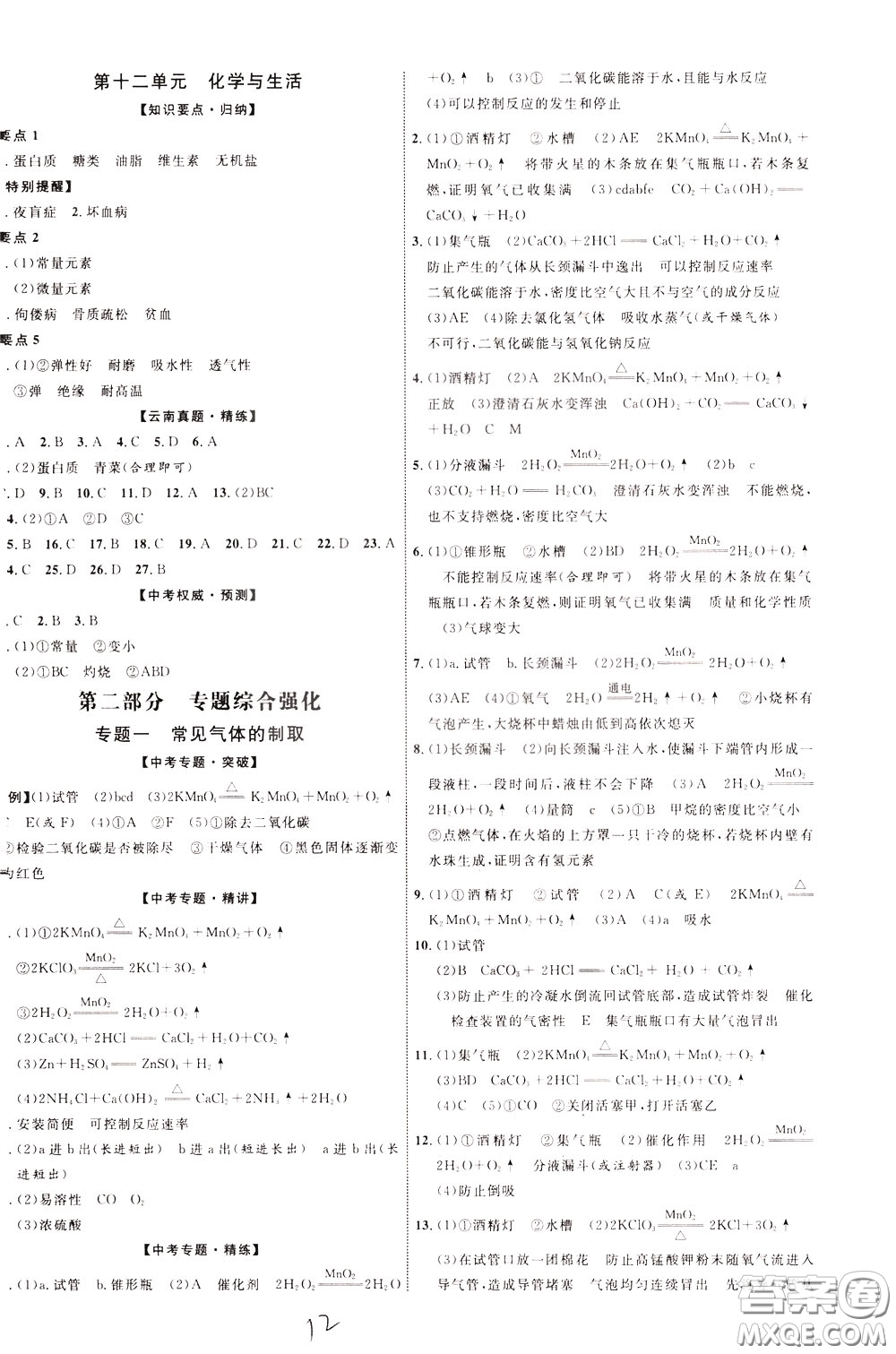 2020升級版云南中考新突破化學(xué)參考答案