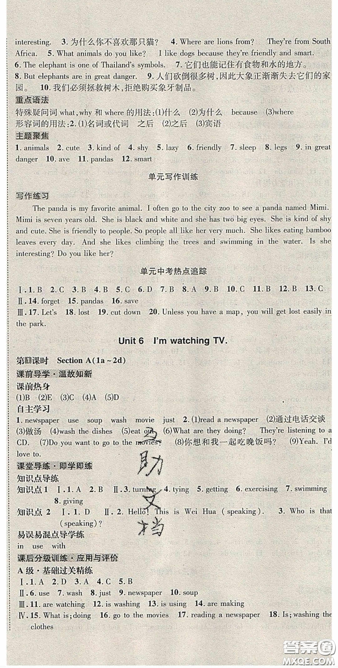 2020名校秘題全程導練導學案七年英語下冊人教版答案