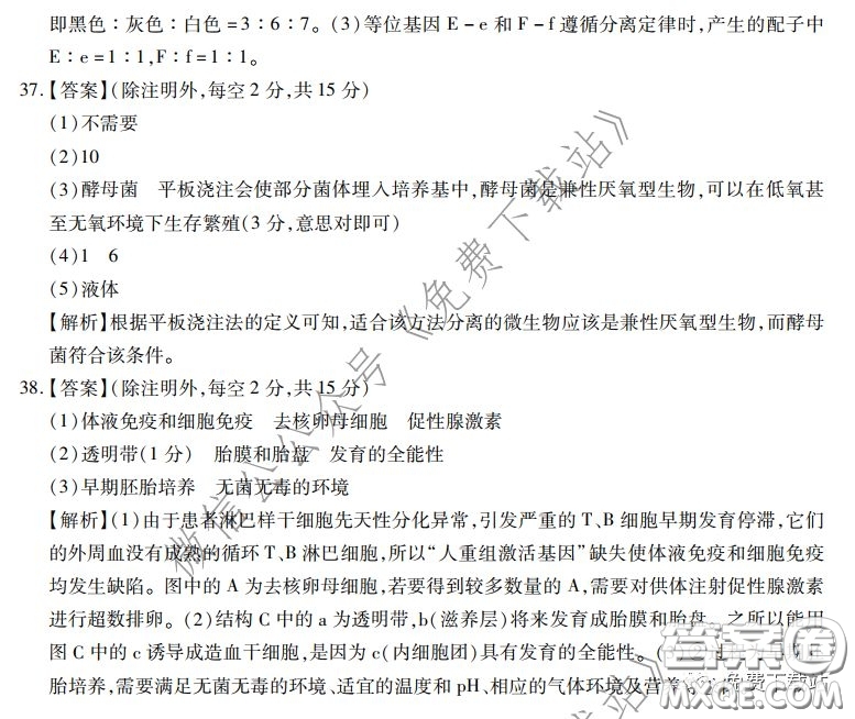 2020年普通高等學(xué)校招生全國(guó)統(tǒng)一考試高考仿真模擬信息卷押題卷一生物答案