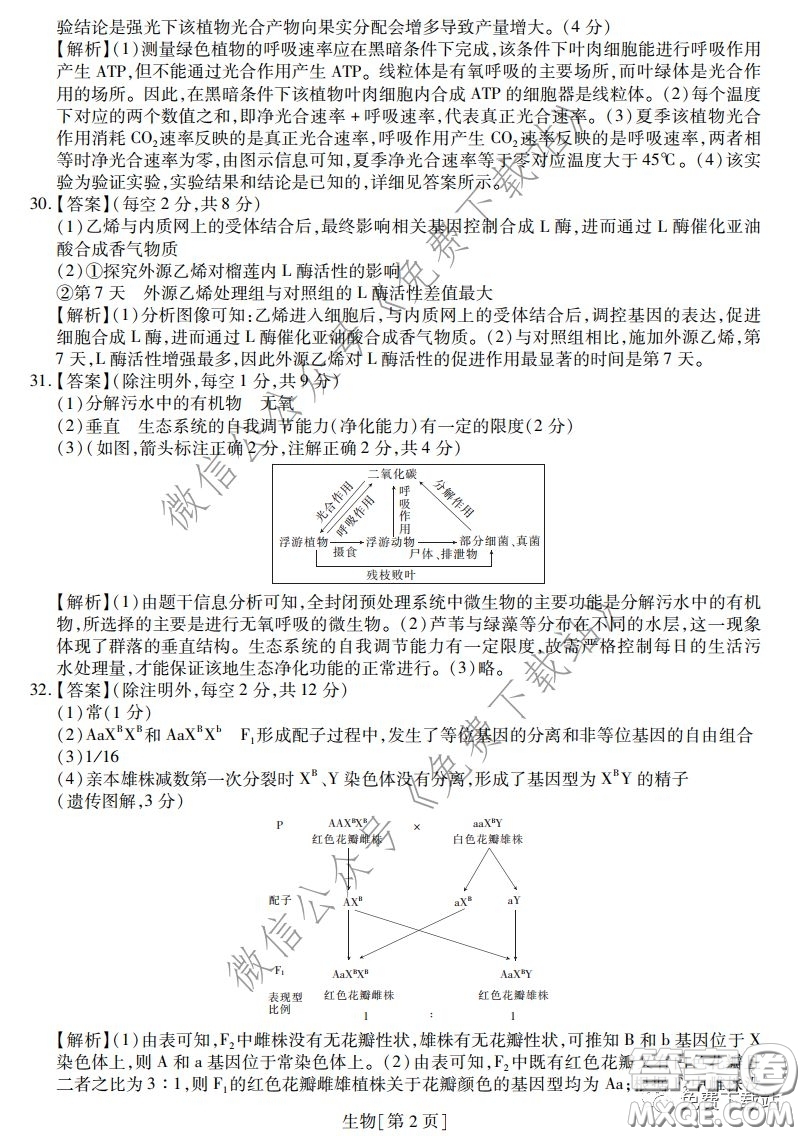 2020年普通高等學(xué)校招生全國(guó)統(tǒng)一考試高考仿真模擬信息卷押題卷一生物答案