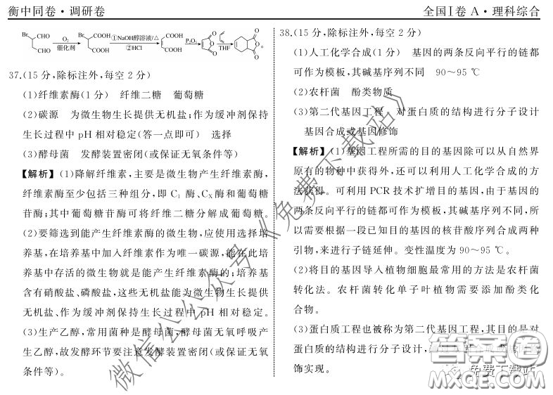2020屆衡中同卷調(diào)研卷一理科綜合試題答案