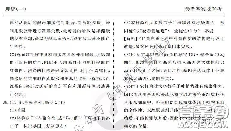 2020屆衡水金卷先享題調(diào)研卷一理科綜合答案