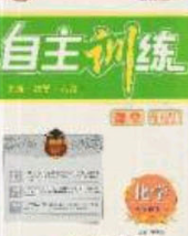 2020自主訓(xùn)練九年級(jí)化學(xué)下冊(cè)科粵版答案