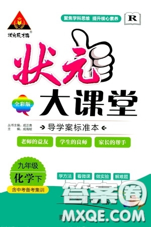 狀元成才路2020年狀元大課堂導學案標準本九年級下冊化學人教版參考答案