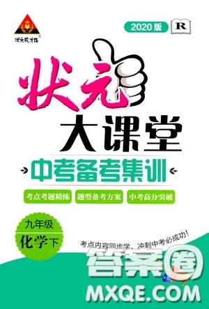 狀元成才路2020版狀元大課堂中考備考集訓(xùn)九年級(jí)下冊(cè)化學(xué)人教版參考答案