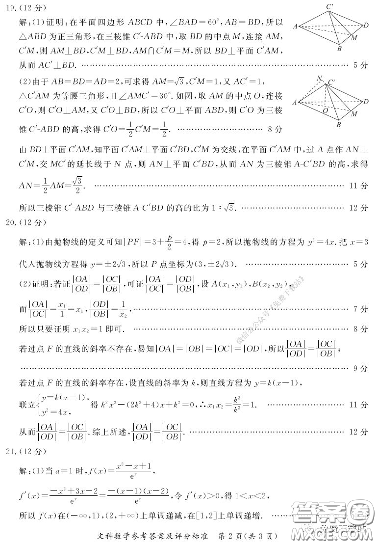 2020年湛江市高三網(wǎng)絡(luò)教學訓練題二文科數(shù)學題及答案