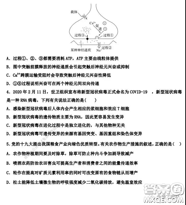 衡水中學2019-2020學年度第二學期高三年級二調(diào)考試理科綜合試題及答案