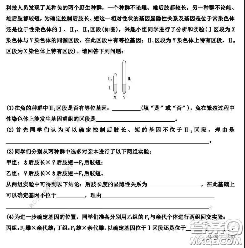衡水中學2019-2020學年度第二學期高三年級二調(diào)考試理科綜合試題及答案