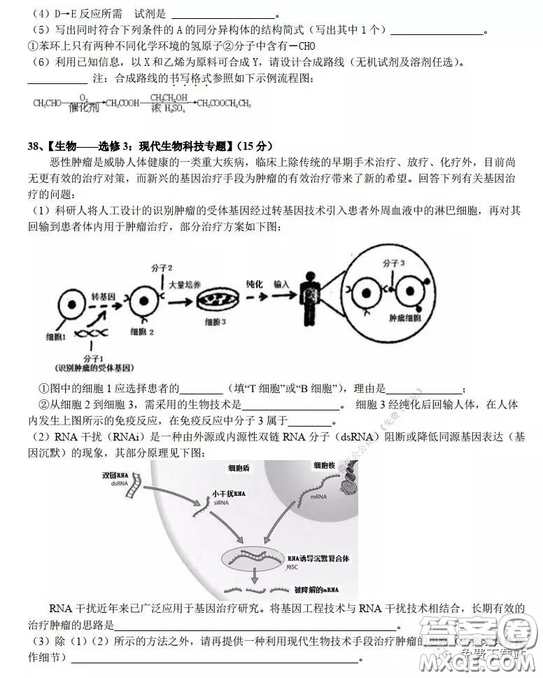 華師大一附中2020屆高三2月檢測線上理科綜合能力測試試題及答案