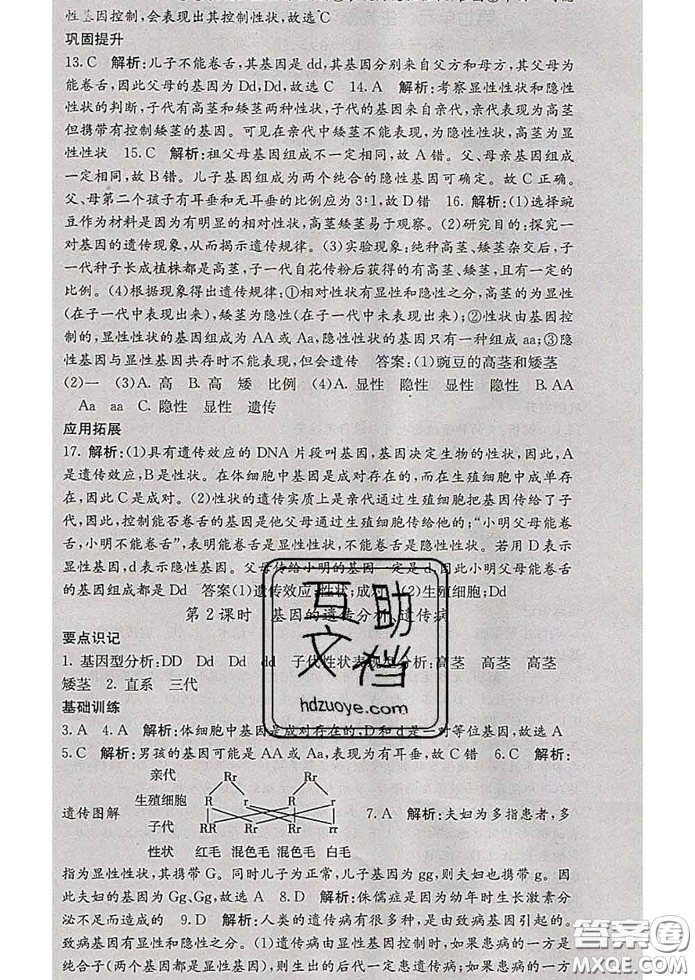 梯田文化2020春課堂點(diǎn)睛八年級(jí)生物下冊(cè)人教版答案