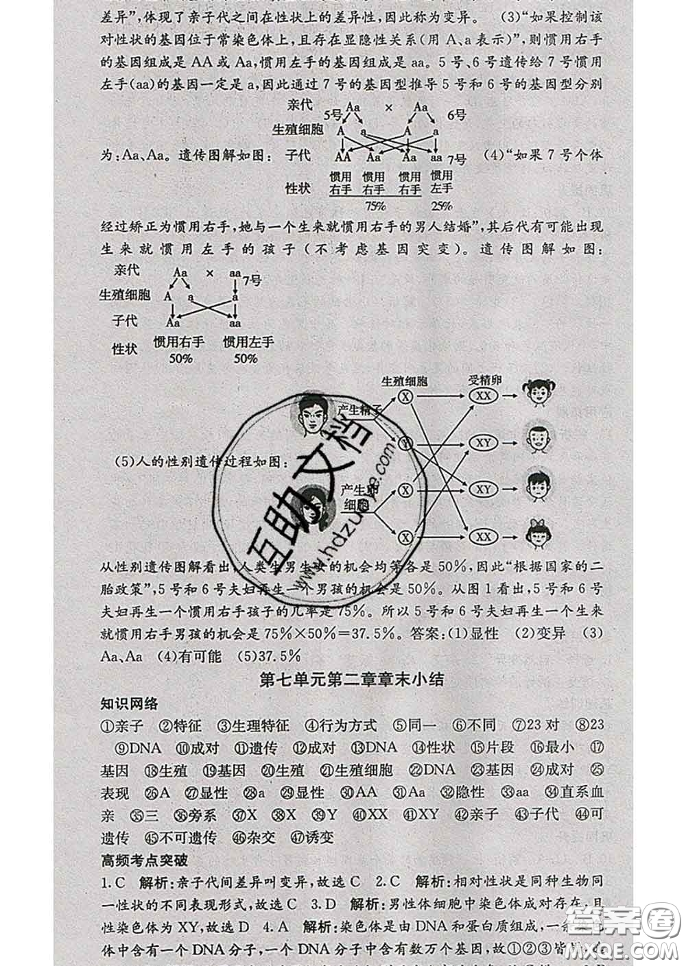 梯田文化2020春課堂點(diǎn)睛八年級(jí)生物下冊(cè)人教版答案