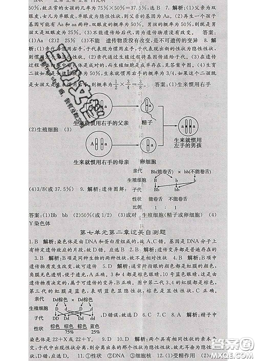 梯田文化2020春課堂點(diǎn)睛八年級(jí)生物下冊(cè)人教版答案