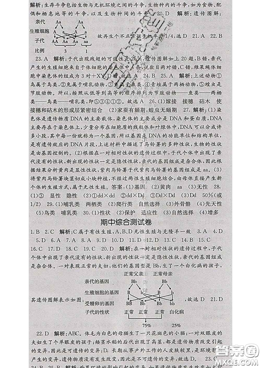 梯田文化2020春課堂點(diǎn)睛八年級(jí)生物下冊(cè)人教版答案