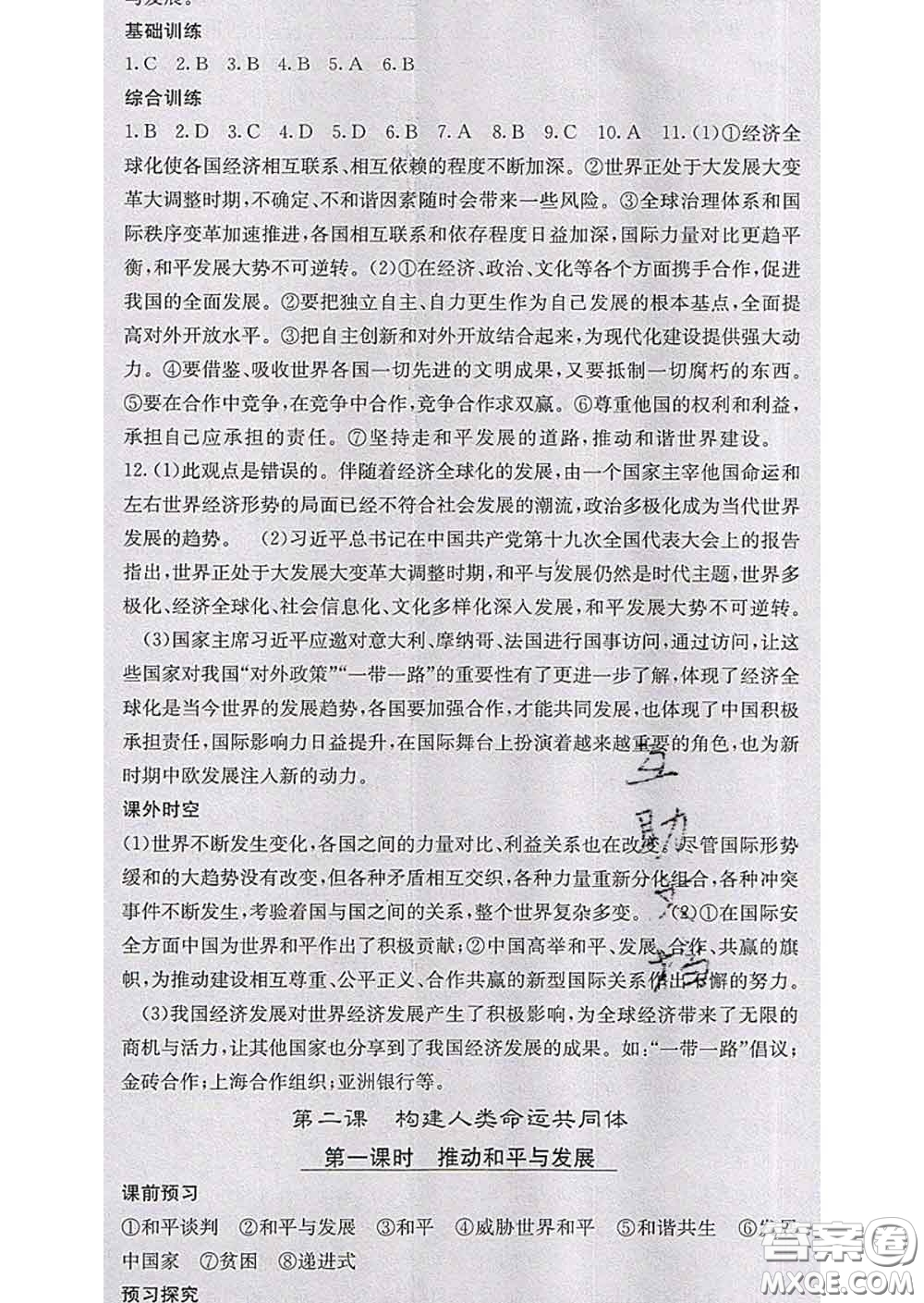 梯田文化2020春課堂點睛九年級政治下冊人教版答案