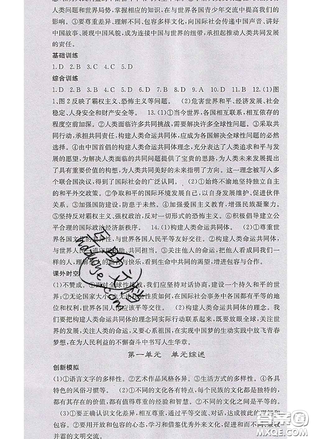 梯田文化2020春課堂點睛九年級政治下冊人教版答案