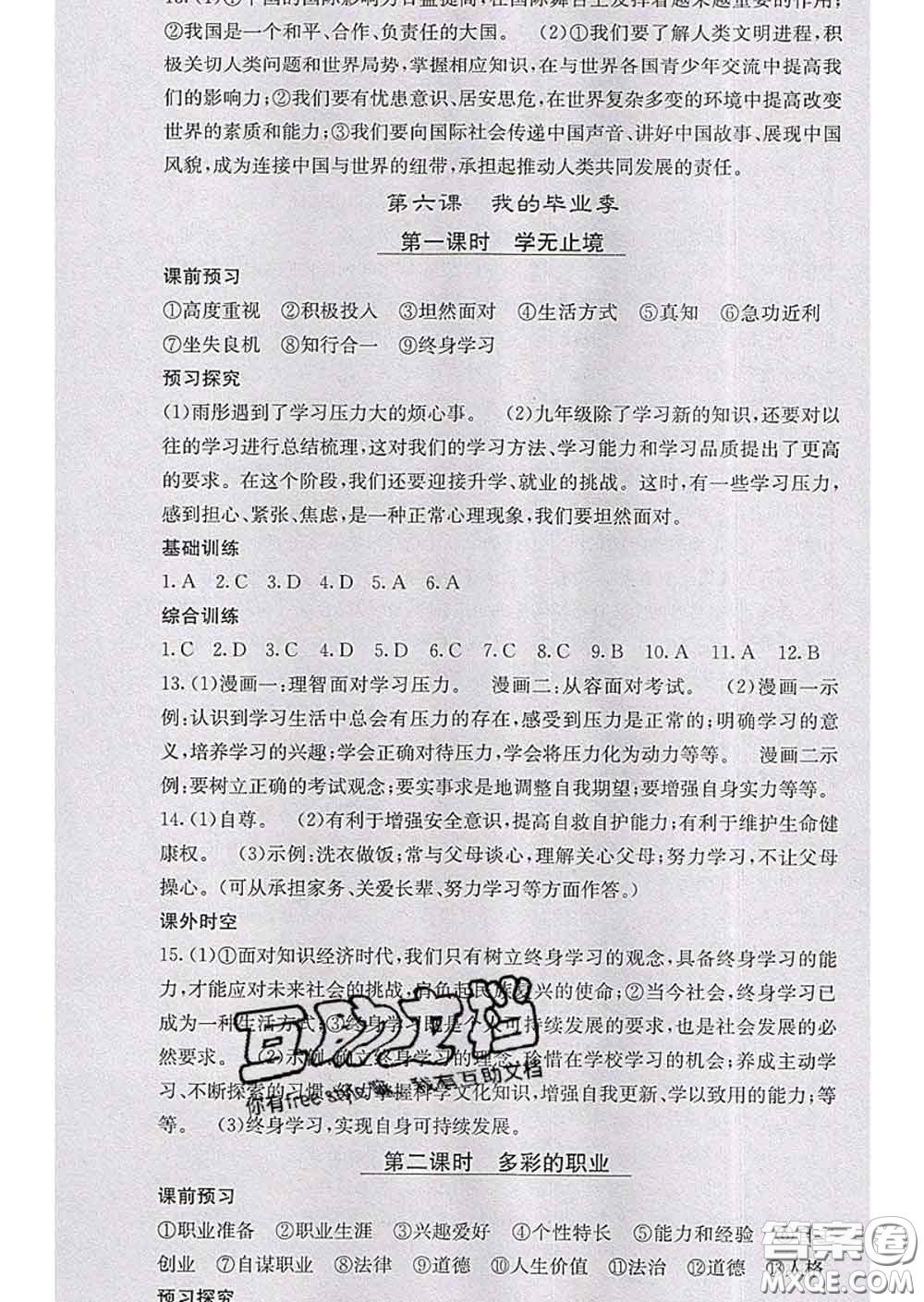 梯田文化2020春課堂點睛九年級政治下冊人教版答案