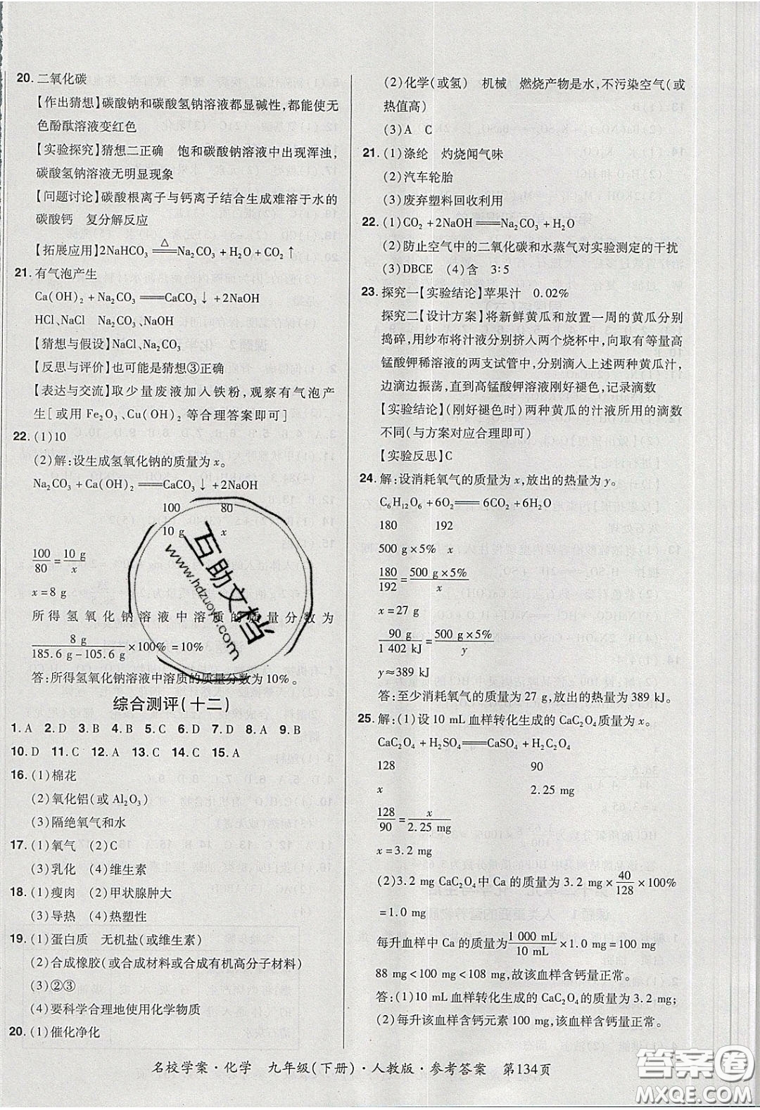 2020年國華作業(yè)本名校學(xué)案九年級化學(xué)下冊人教版答案