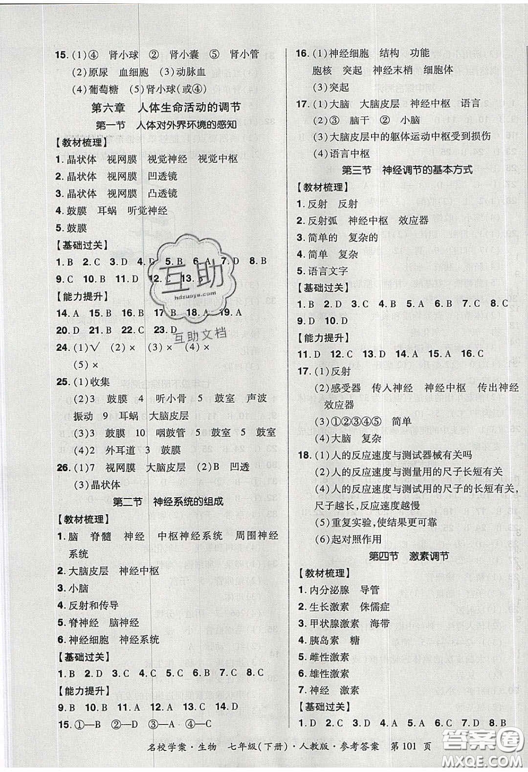 2020年國華作業(yè)本名校學(xué)案七年級生物下冊人教版答案