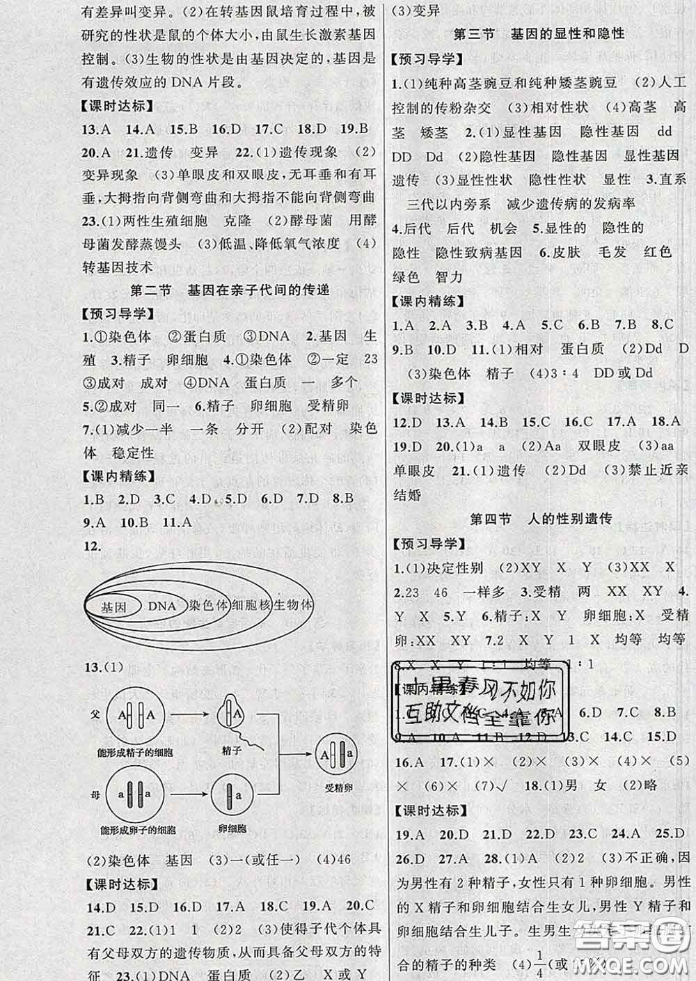 2020年黃岡金牌之路練闖考八年級(jí)生物下冊(cè)人教版答案