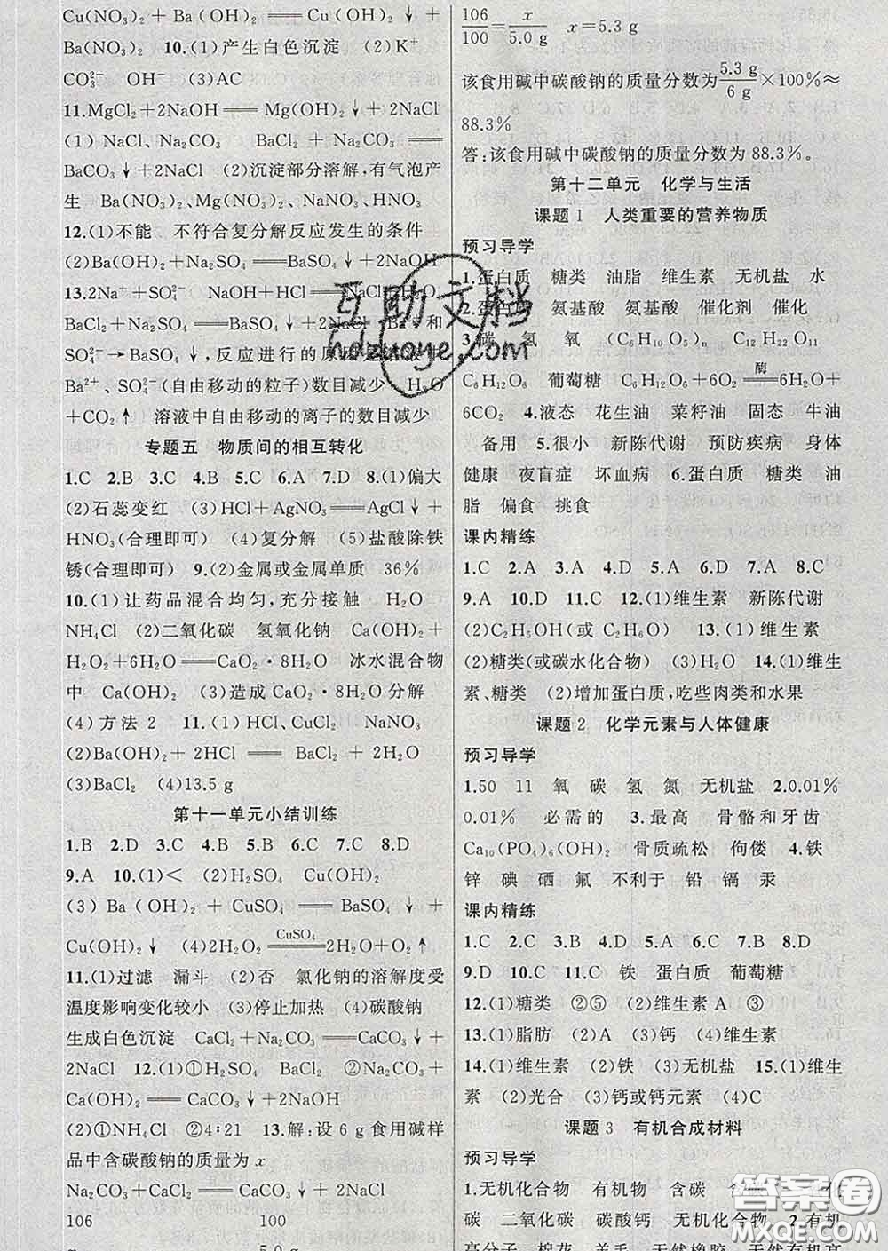 2020年黃岡金牌之路練闖考九年級化學下冊人教版答案