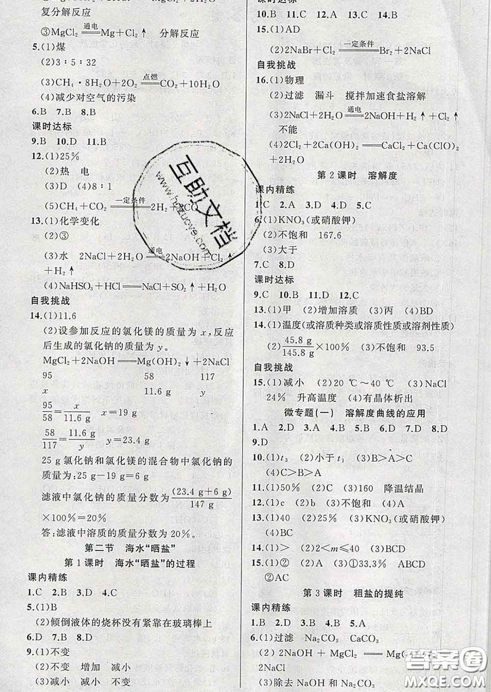 2020年黃岡金牌之路練闖考九年級(jí)化學(xué)下冊魯教版答案