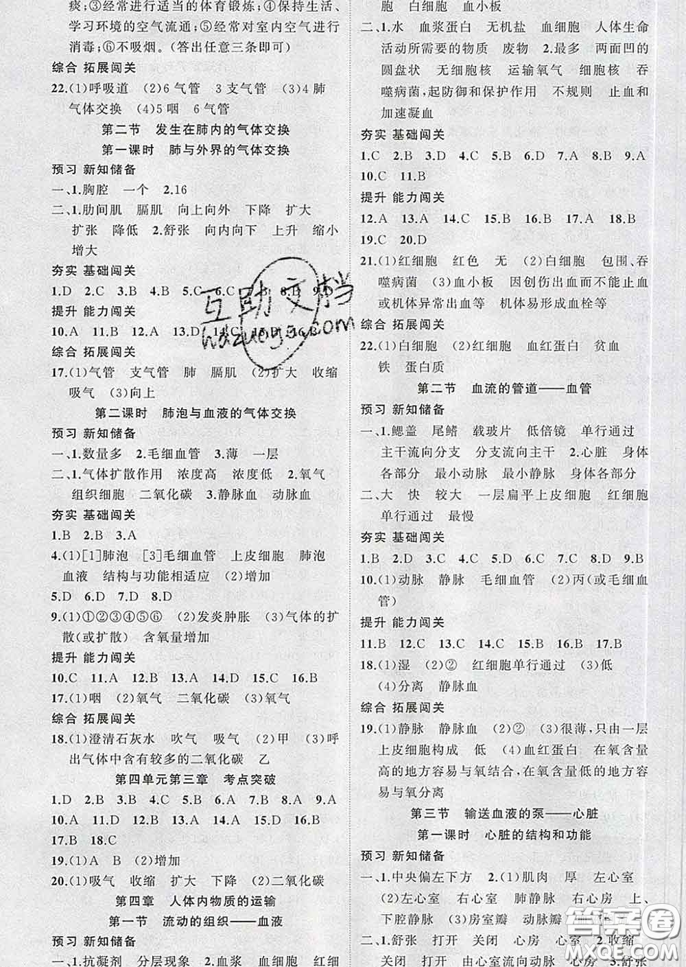 新疆青少年出版社2020春黃岡100分闖關(guān)七年級(jí)生物下冊(cè)人教版答案