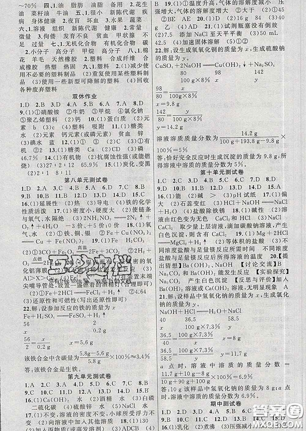 新疆青少年出版社2020春黃岡100分闖關(guān)九年級化學下冊人教版答案