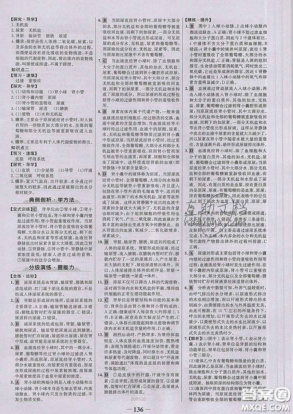 2020新版世紀金榜金榜學案七年級生物下冊人教版答案