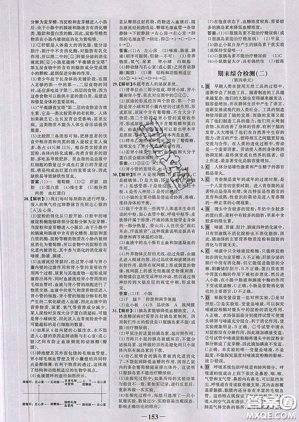 2020新版世紀金榜金榜學案七年級生物下冊人教版答案