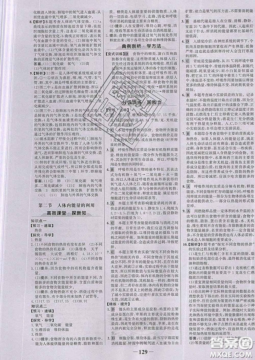 2020新版世紀金榜金榜學(xué)案七年級生物下冊濟南版答案