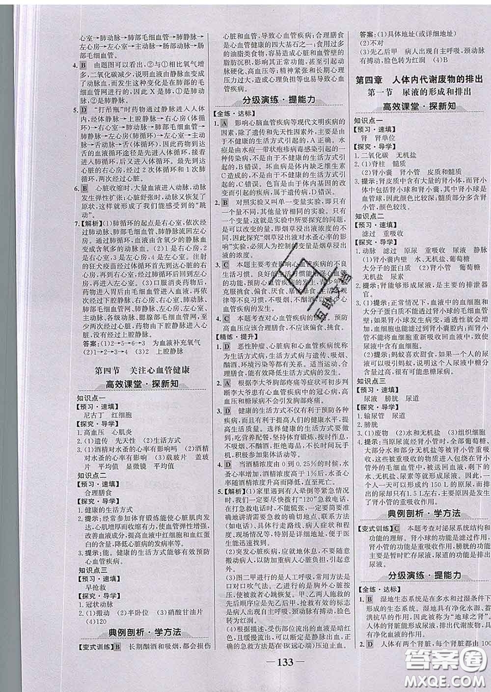2020新版世紀金榜金榜學(xué)案七年級生物下冊濟南版答案