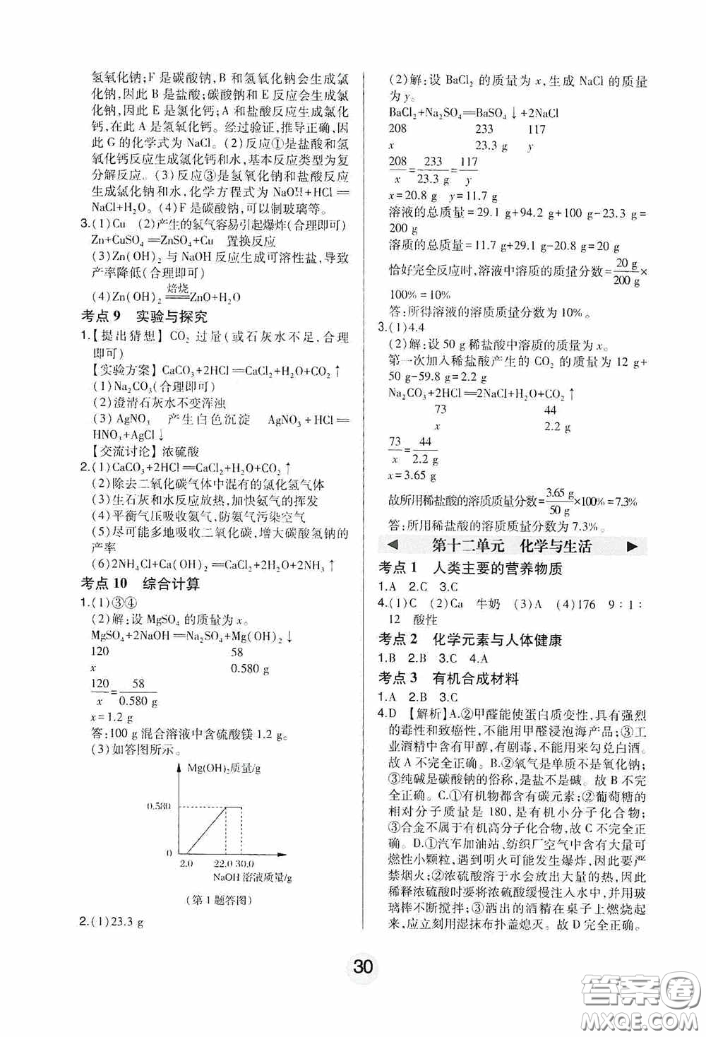 東北師范大學(xué)出版社2020北大綠卡課時(shí)同步講練九年級化學(xué)下冊人教版答案