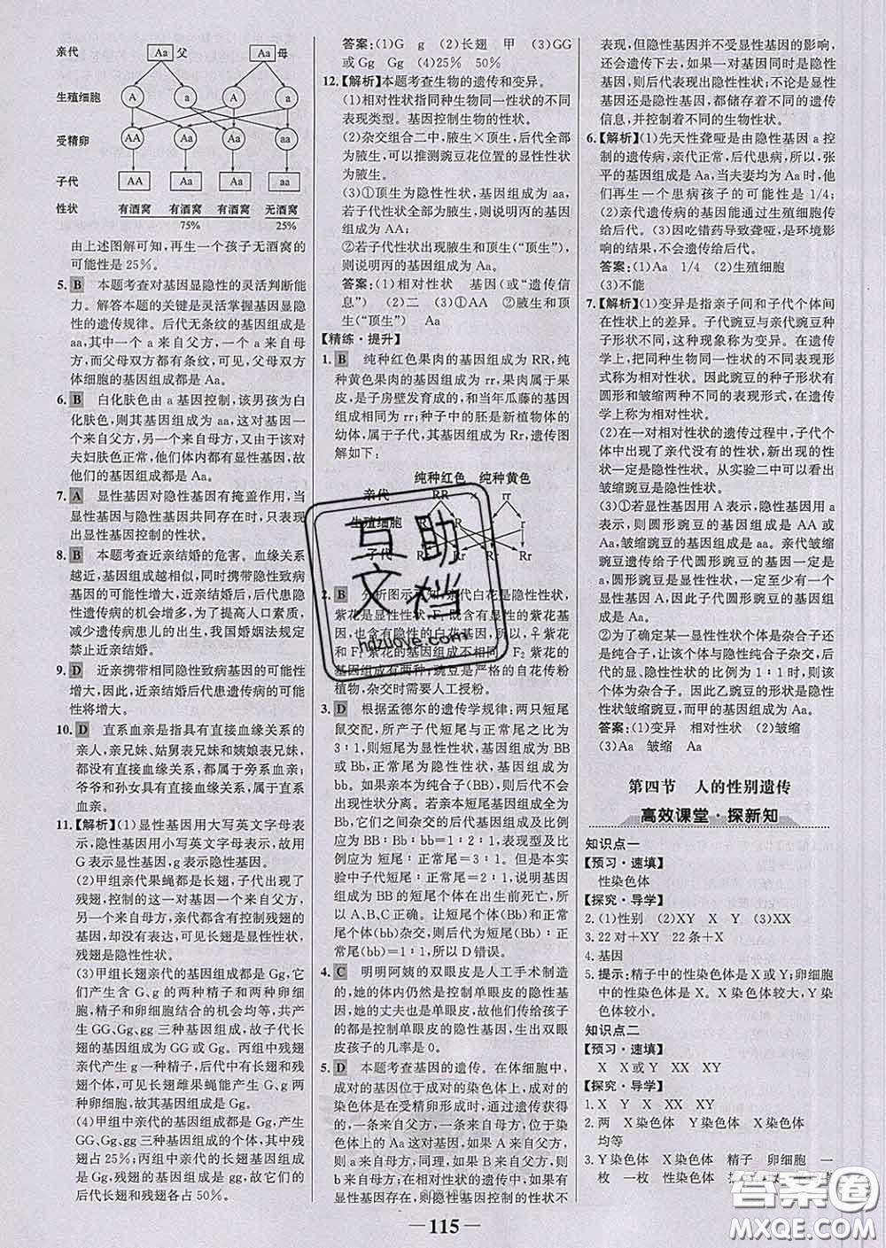 2020新版世紀金榜金榜學案八年級生物下冊人教版答案