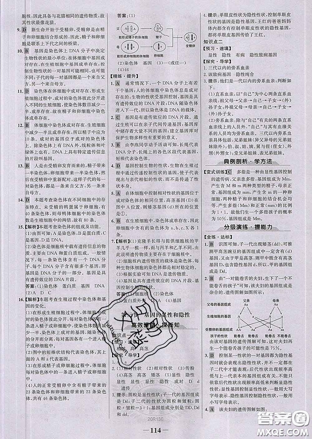 2020新版世紀金榜金榜學案八年級生物下冊人教版答案