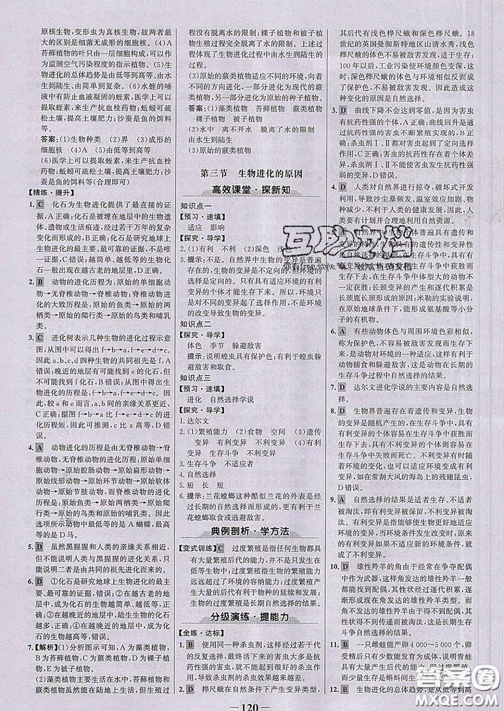 2020新版世紀金榜金榜學案八年級生物下冊人教版答案